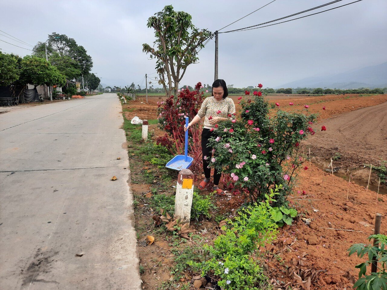 Chị Nguyễn Thị Thu, người làng Phú Ninh cho hay: Từ khi các tuyến đường được mở rộng, đổ bê tông khang trang, người dân địa phương đã chủ động bỏ kinh phí, thời gian để trồng nhiều loại hoa, tạo cảnh quan môi trường "xanh - sạch - đẹp".