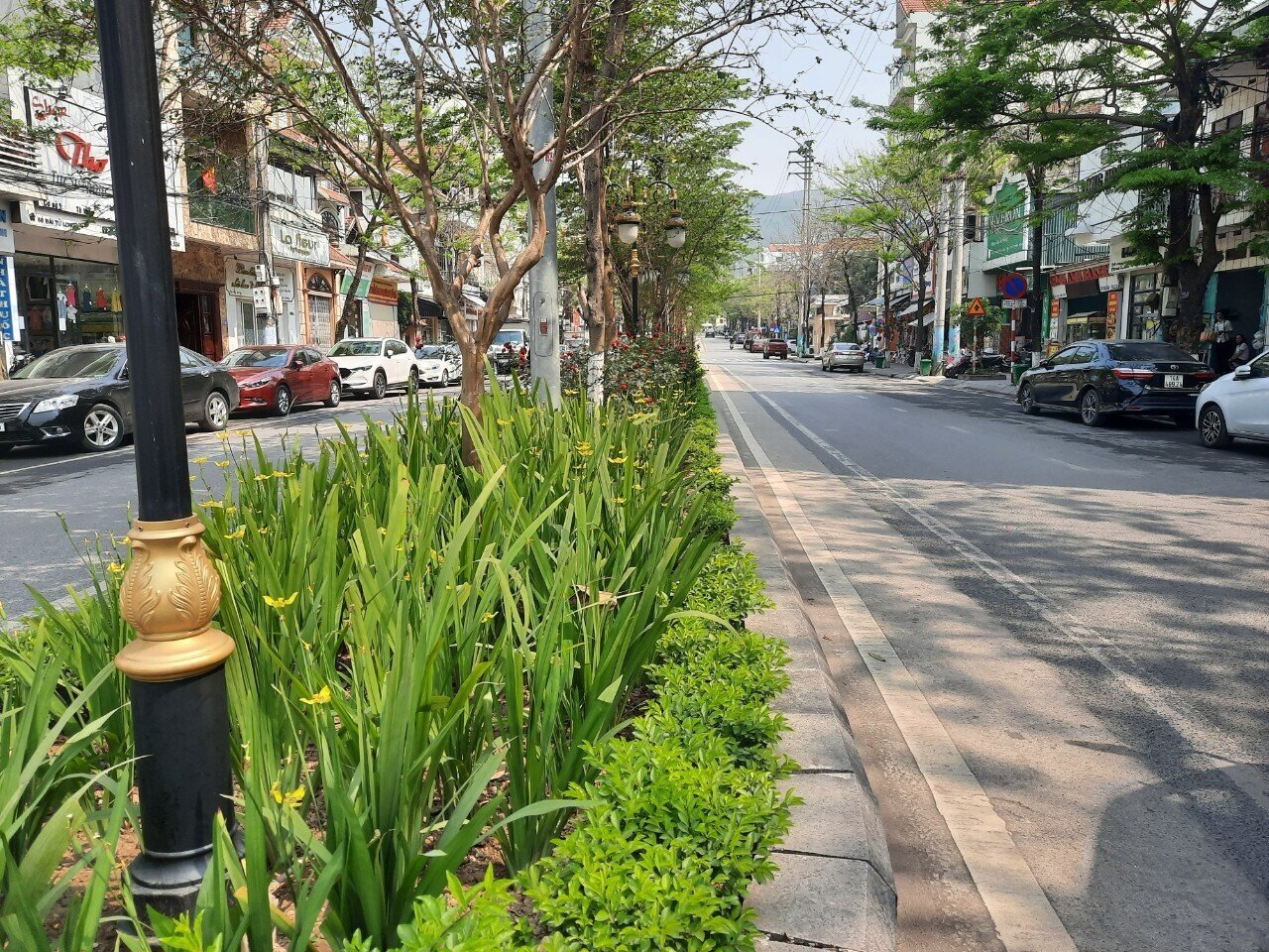 &Ocirc;ng Đỗ Khải Ho&agrave;n, Ph&oacute; Chủ tịch UBND phường Cẩm Trung, TP Cẩm Phả hồ hởi khoe: Từ khi tuyến đường được n&acirc;ng cấp, mở rộng, ch&iacute;nh quyền đ&atilde; phối hợp với cơ quan chức năng nghi&ecirc;n cứu, đầu tư trồng những lo&agrave;i c&acirc;y, lo&agrave;i hoa vừa phủ hợp với thổ nhưỡng vừa tạo cảnh quan m&ocirc;i trường.