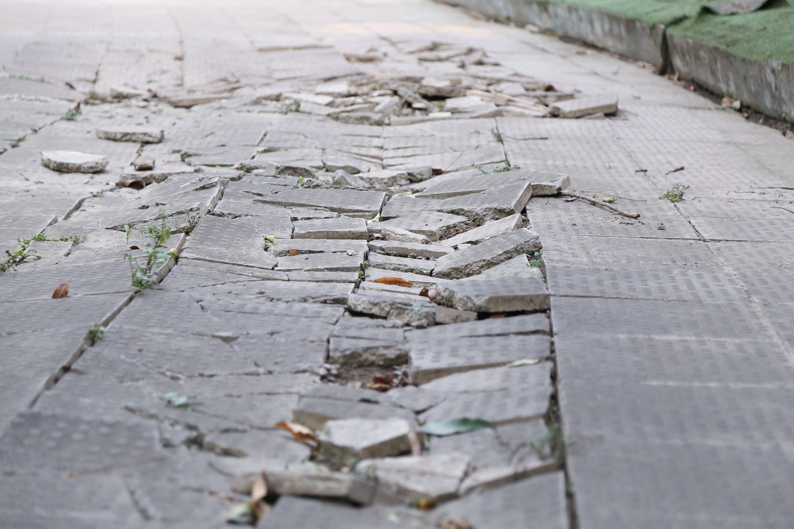 &Ocirc;ng Tuấn (sống tại phường Dịch Vọng, quận Cầu Giấy) cho biết: "C&ocirc;ng vi&ecirc;n n&agrave;y v&agrave;o những ng&agrave;y cuối tuần kh&ocirc;ng chỉ c&oacute; người d&acirc;n quanh đ&acirc;y m&agrave; c&ograve;n nhiều người ở nơi kh&aacute;c đến vui chơi, tập thể dục thể thao. Tuy nhi&ecirc;n, hư hỏng ở c&ocirc;ng vi&ecirc;n n&agrave;y xuất hiện từ rất l&acirc;u rồi m&agrave; kh&ocirc;ng thấy cơ quan n&agrave;o đến sửa chữa cả. Hy vọng nh&agrave; nước sớm sửa chữa để người d&acirc;n c&oacute; kh&ocirc;ng gian vui chơi, thể thao an to&agrave;n".