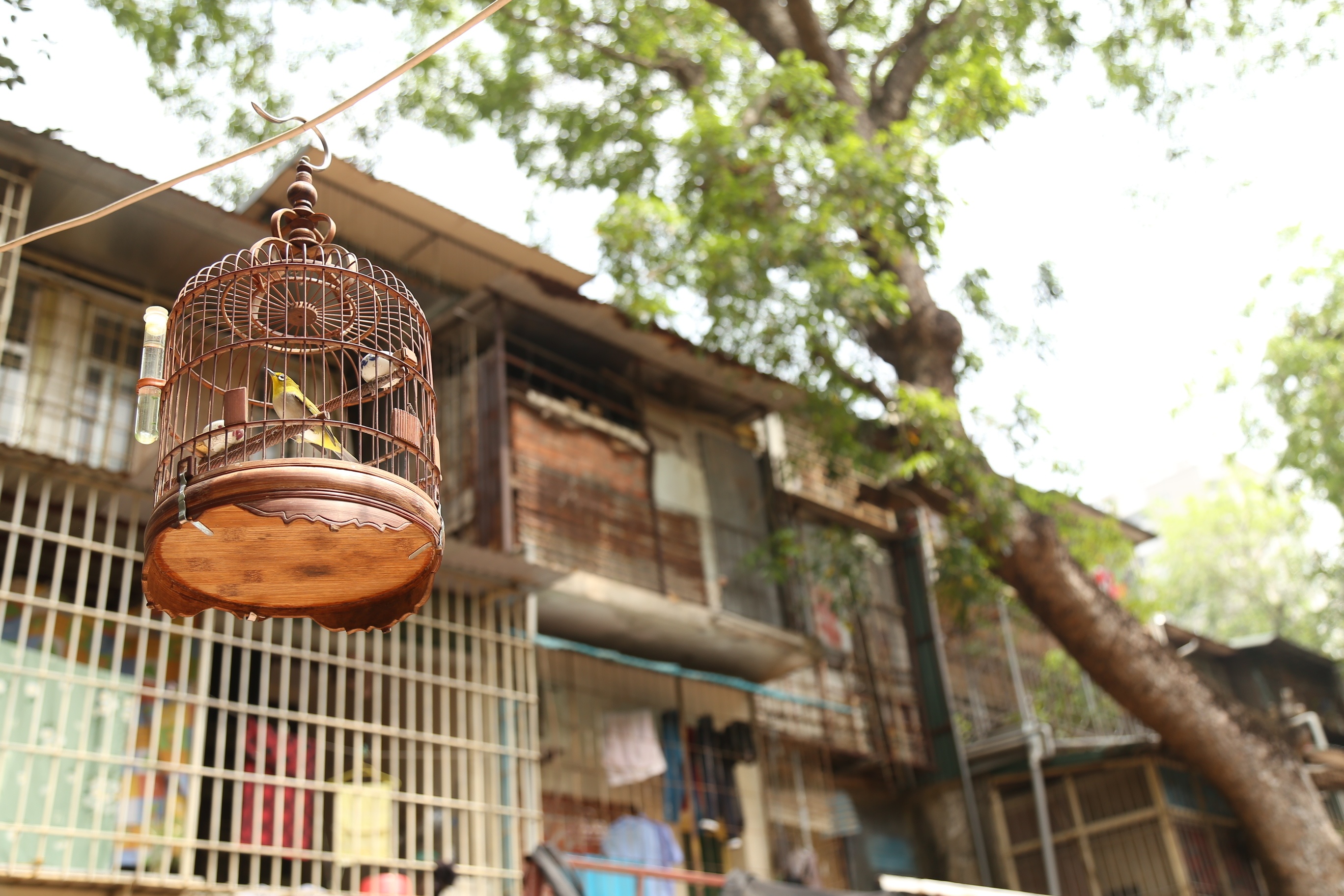 "Chu&ocirc;ng chim thật ở đ&acirc;y cũng nhiều, m&agrave; "chuồng chim" để người ở, sinh hoạt cũng kh&ocirc;ng thiếu. V&igrave; vậy sau sự cố ch&aacute;y vừa qua ch&uacute;ng t&ocirc;i cũng phải n&acirc;ng cao cảnh gi&aacute;c về ph&ograve;ng ch&aacute;y. Đặc biệt l&agrave; những song sắt cần phải để &ocirc; tho&aacute;t hiểm đề ph&ograve;ng khi hỏa hoạn", một người d&acirc;n ở Khu tập thể B9 cho biết.