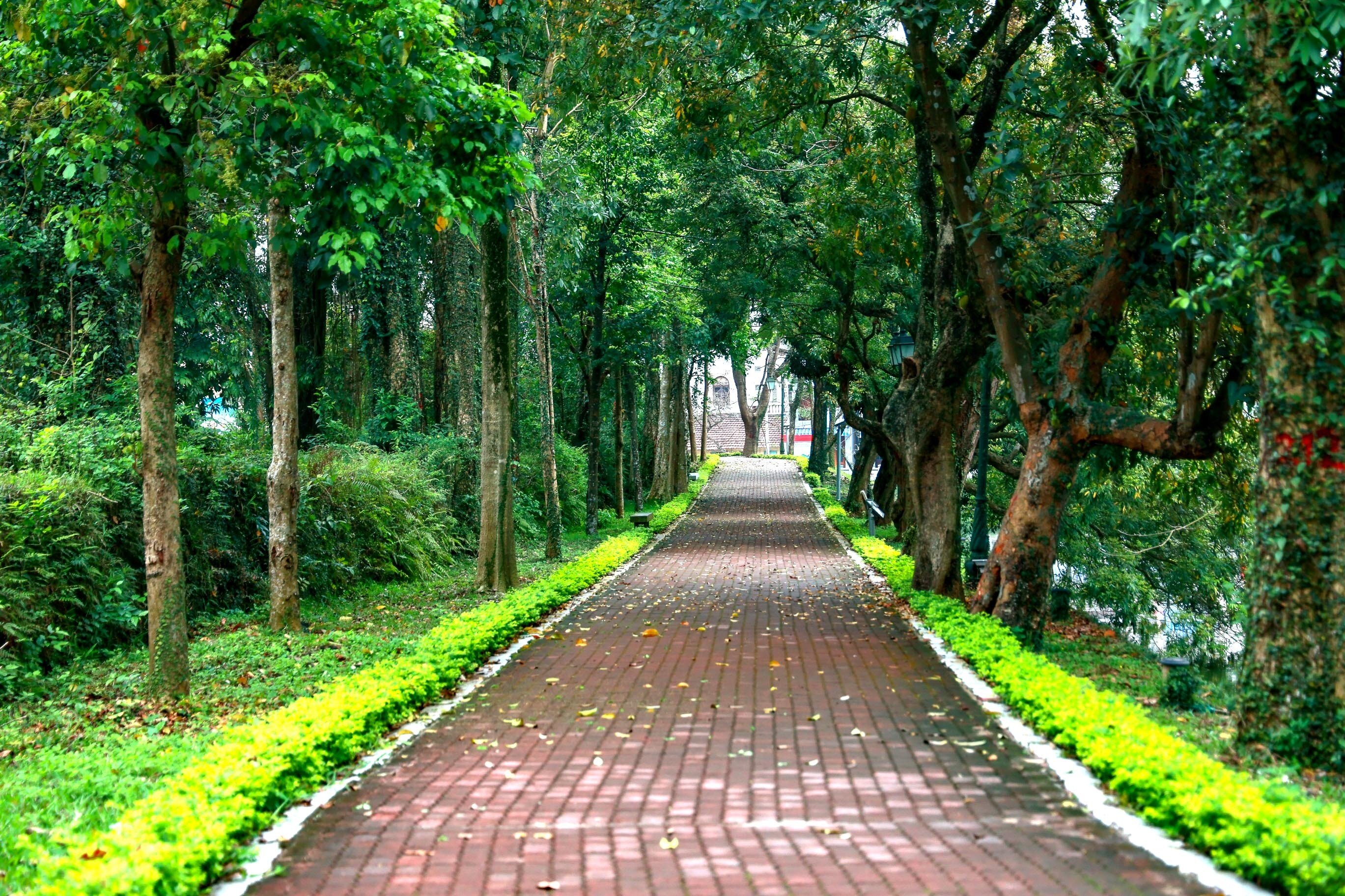 Đến với phố đi bộ Sơn T&acirc;y, du kh&aacute;ch c&ograve;n c&oacute; cơ hội thăm quan Th&agrave;nh cổ Sơn T&acirc;y với nhiều con đường thơ mộng.