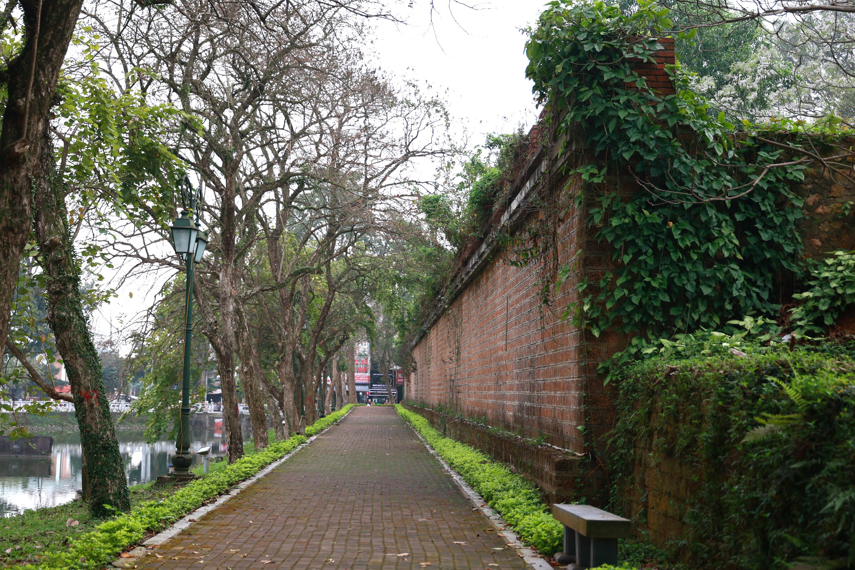 C&ugrave;ng với đ&oacute; l&agrave; những bức tường đ&aacute; ong cổ k&iacute;nh.