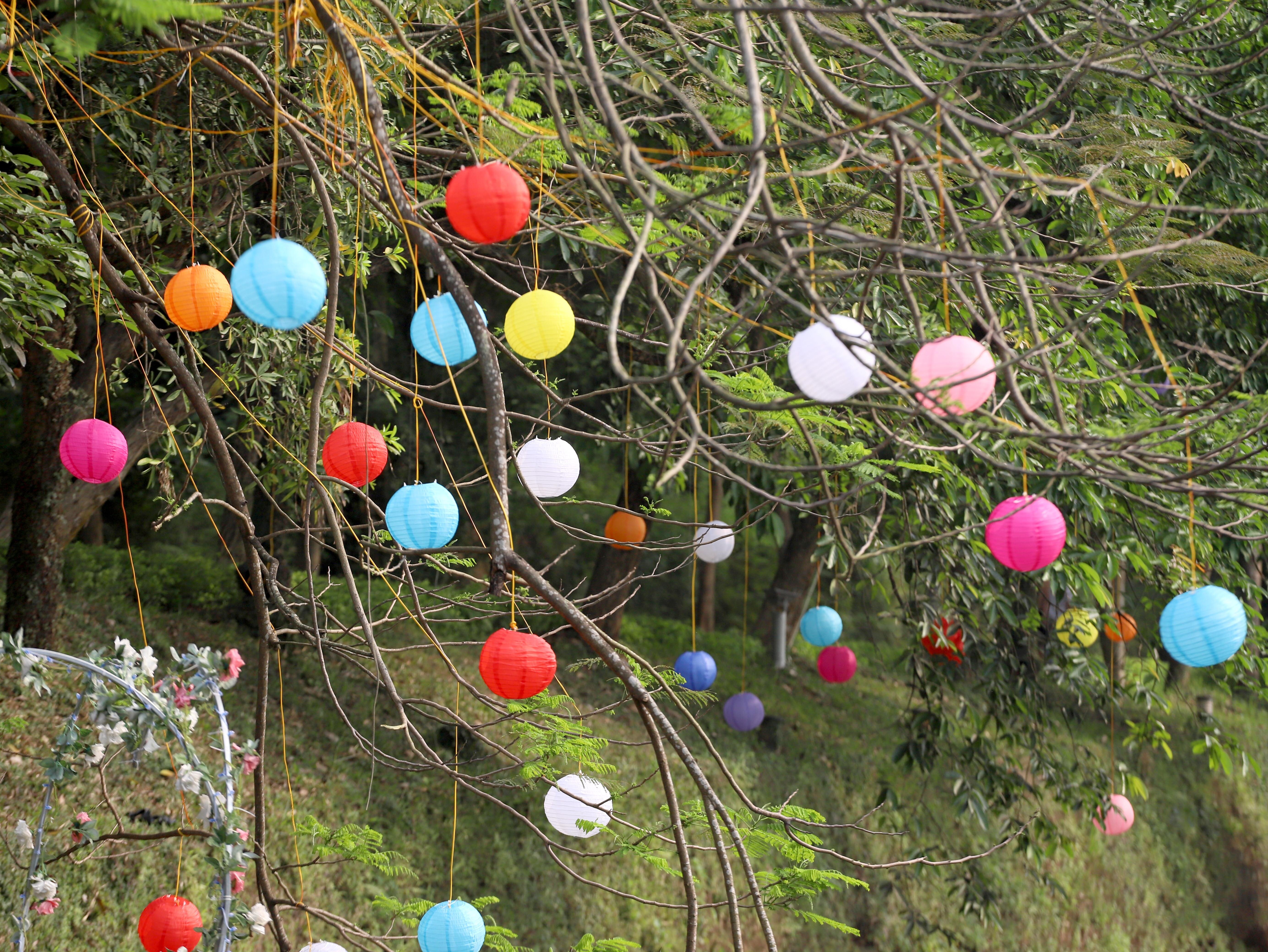 Những chiếc đ&egrave;n n&agrave;y sẽ được thắp s&aacute;ng v&agrave;o buổi tối chắc chắn sẽ thu h&uacute;t được nhiều người d&acirc;n đến chụp ảnh "check in".