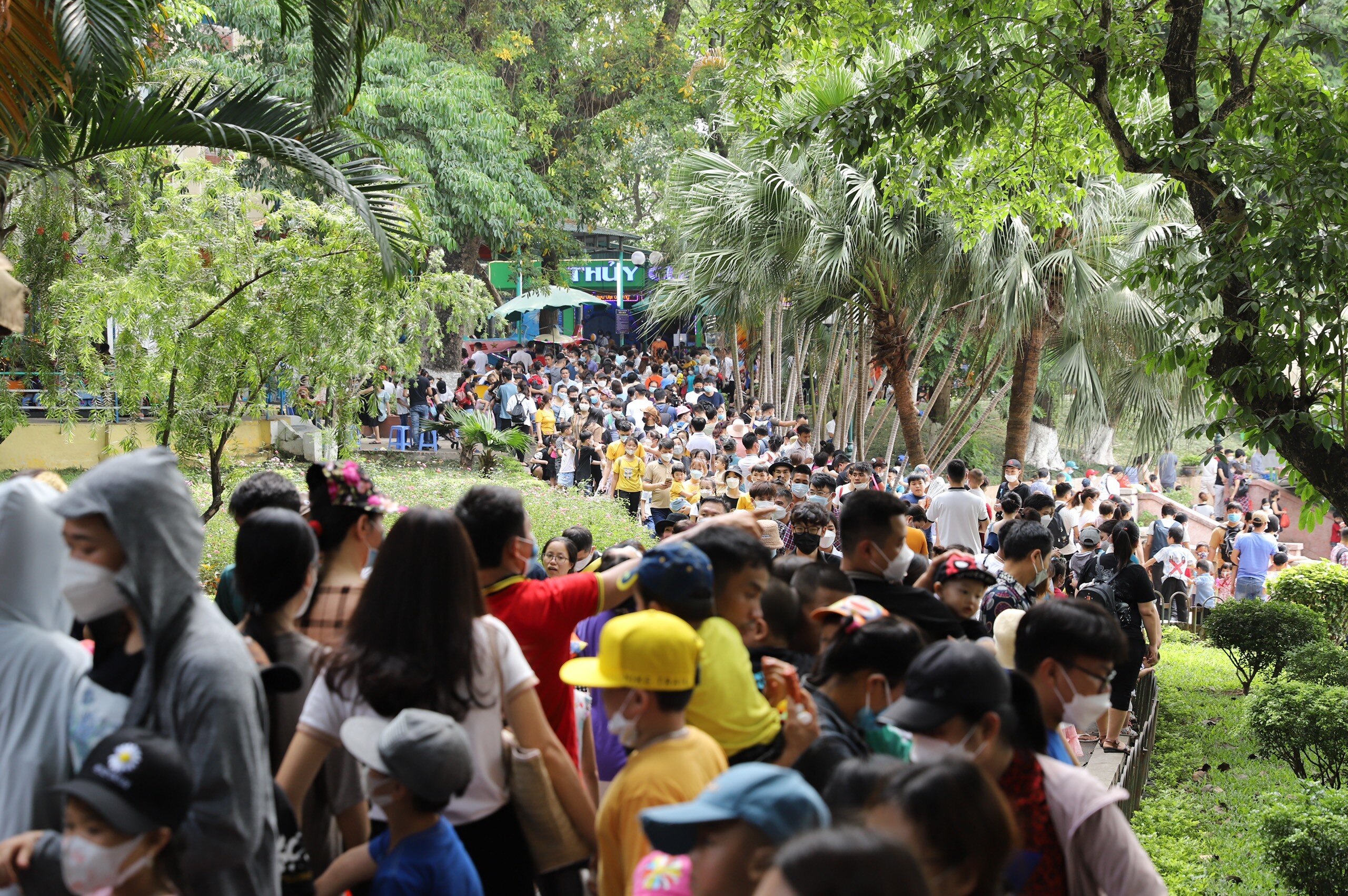 Đường trong khu&ocirc;n vi&ecirc;n tại đ&acirc;y cũng xuất hiện t&igrave;nh trạng &ugrave;n tắc do qu&aacute; đ&ocirc;ng người v&agrave;o tham quan.