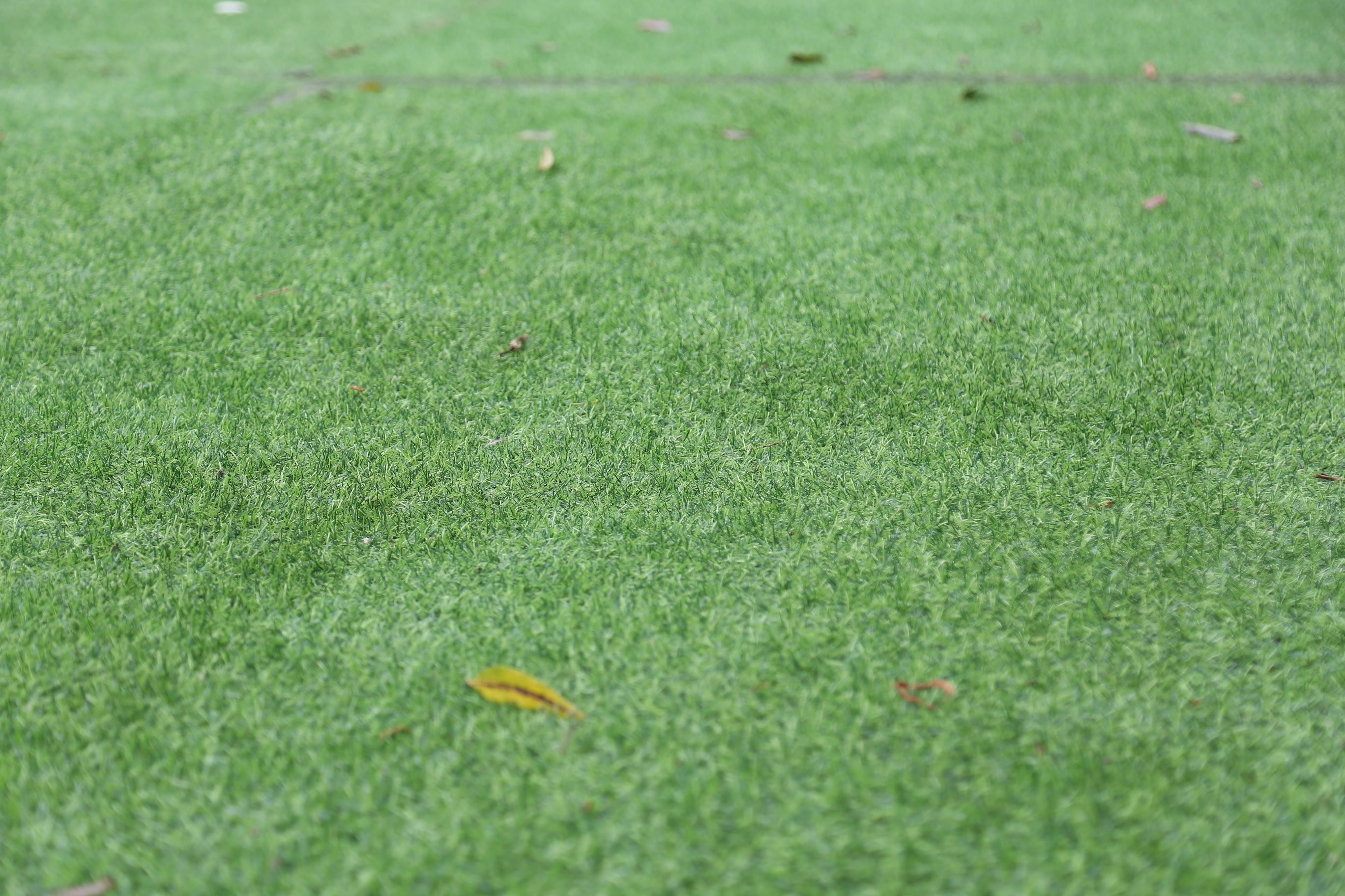 Chị Ph&ugrave;ng Thị Hằng - người d&acirc;n đến vui chơi tại c&ocirc;ng vi&ecirc;n Cầu Giấy cho biết: "H&ocirc;m nay t&ocirc;i đưa trẻ nhỏ ra đ&acirc;y chơi, cảm thấy bất ngờ khi những thảm cỏ cũ n&aacute;t được thay bằng thảm cỏ mới. Điều n&agrave;y đảm bảo an to&agrave;n cho hoạt động vui chơi của trẻ".