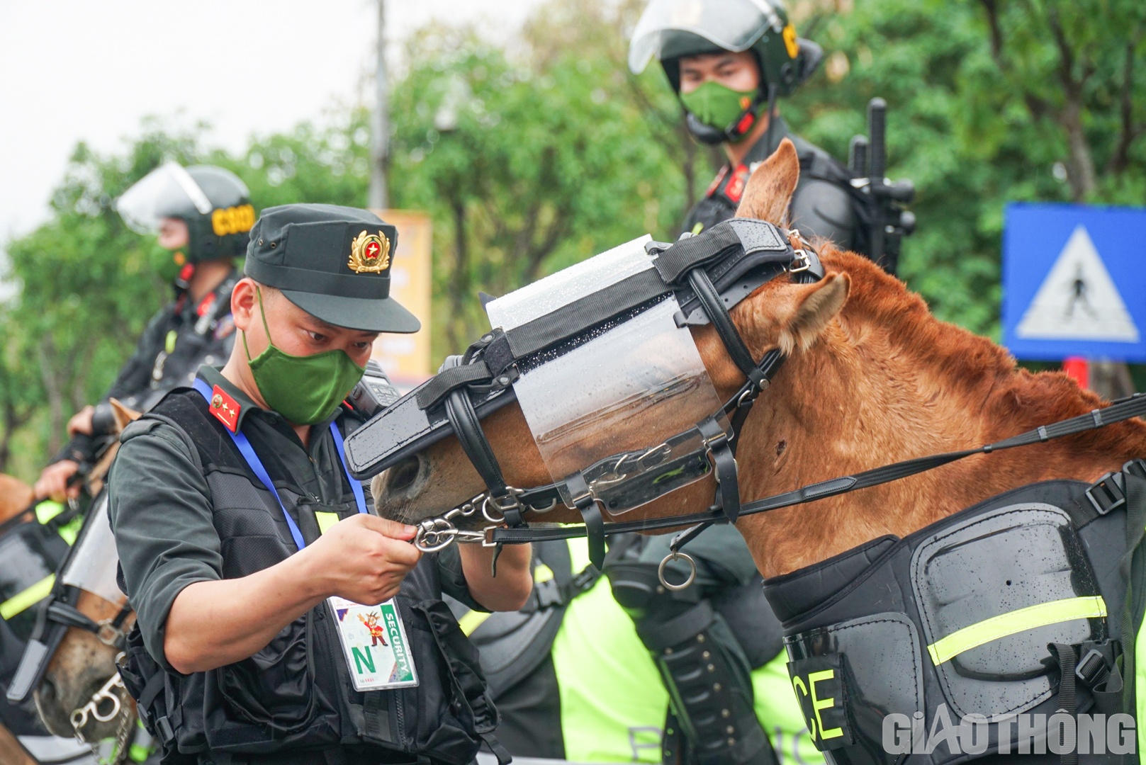 Chiến sĩ CSCĐ kiểm tra trang bị bảo hộ cho những ch&uacute; ngựa.