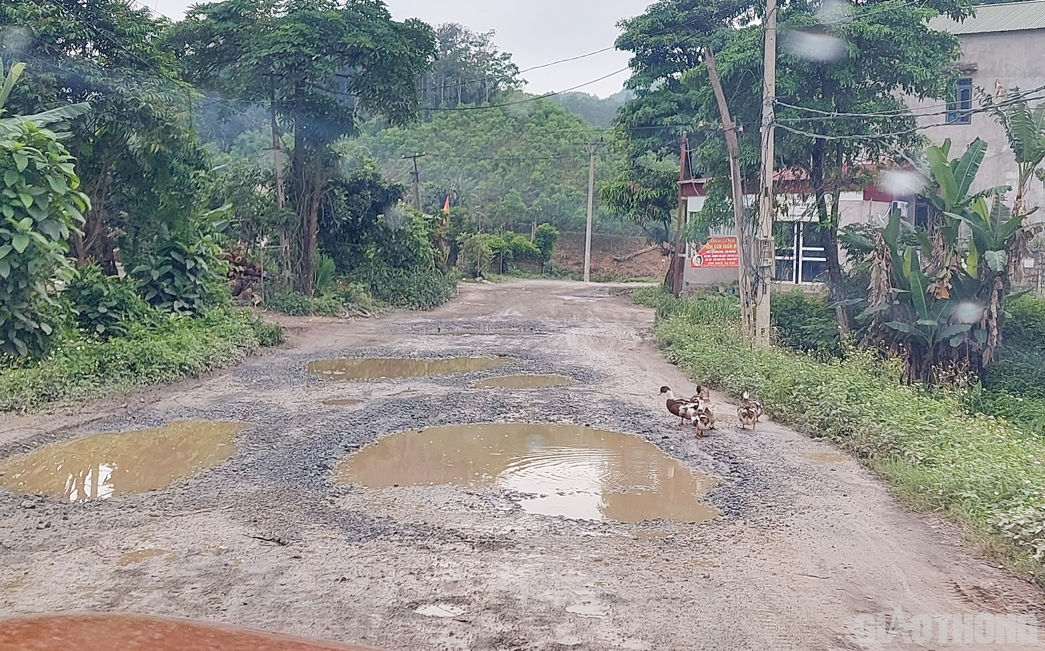 Theo nhiều người dân địa phương, tình trạng này đã diễn ra trong thời gian dài. Gây ra nhiều hệ lụy xấu như: hư hỏng kết cấu đường bộ, ô nhiễm môi trường và mất ATGT trên tuyến.