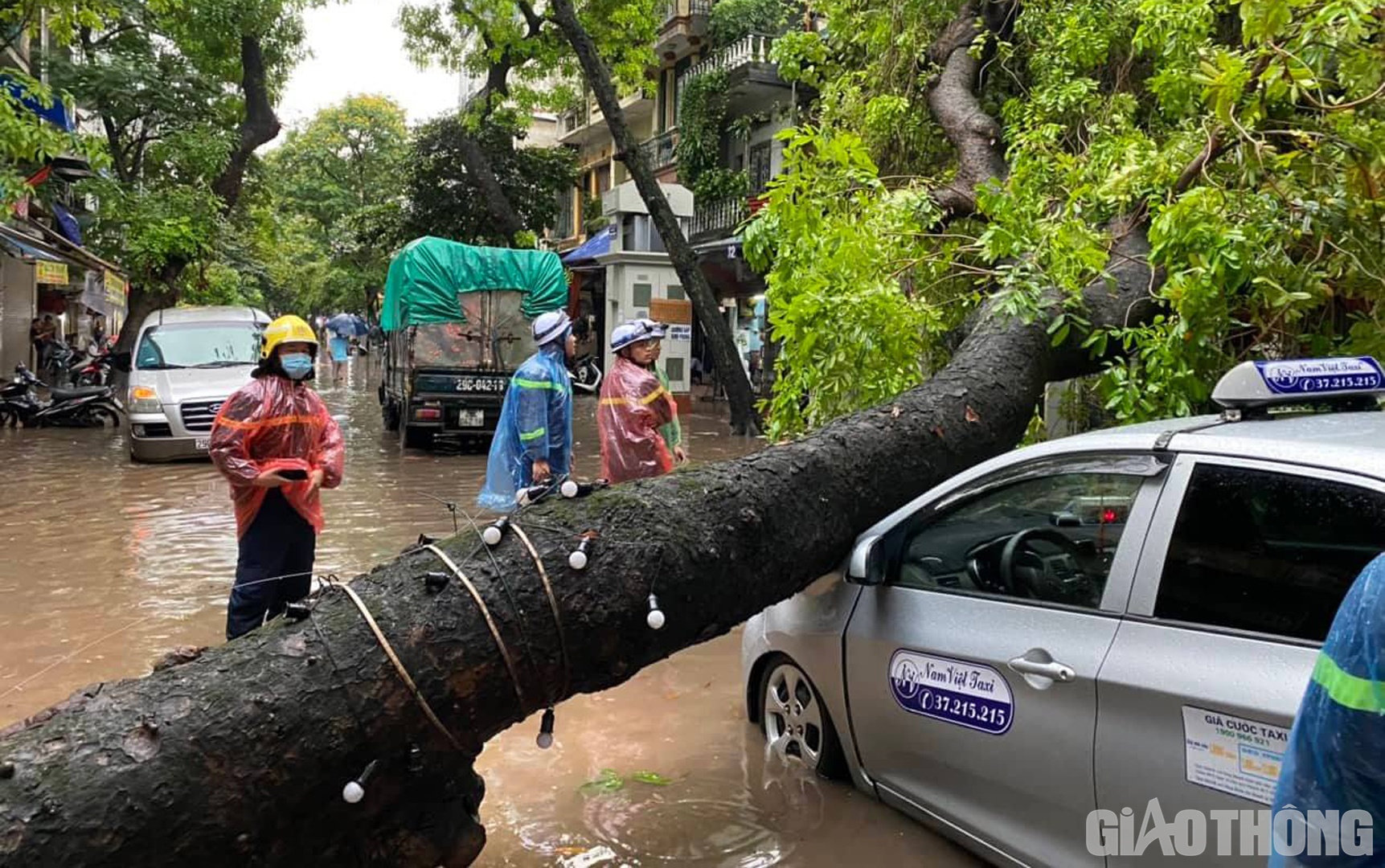C&acirc;y to đổ v&agrave;o xe taxi tại phố H&agrave;ng Chiếu, phường  H&agrave;ng M&atilde;, quận Ho&agrave;n Kiếm.