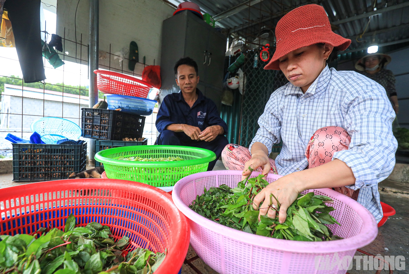 Nhiều th&aacute;ng qua, tại c&ocirc;ng trường hầm Trường Vinh nhắc nhiều đến sự xuất hiện của &ldquo;chị nu&ocirc;i&rdquo; L&ecirc; Thị Vinh c&ugrave;ng chồng tham gia cống hiến l&agrave;m hầm cao tốc. 
B&ecirc;n căn bếp c&ocirc;ng trường, chia sẻ về sự &ldquo;b&eacute;n duy&ecirc;n&rdquo; của hai vợ chồng với cao tốc Bắc - Nam, chị Vinh, người phụ nữ mang d&aacute;ng vẻ &ldquo;sương gi&oacute;&rdquo;, gi&agrave; dặn hơn c&aacute;i tuổi 41 của m&igrave;nh cho biết, bản th&acirc;n bắt đầu đến với hầm Trường Vinh từ th&aacute;ng 10/2021.
