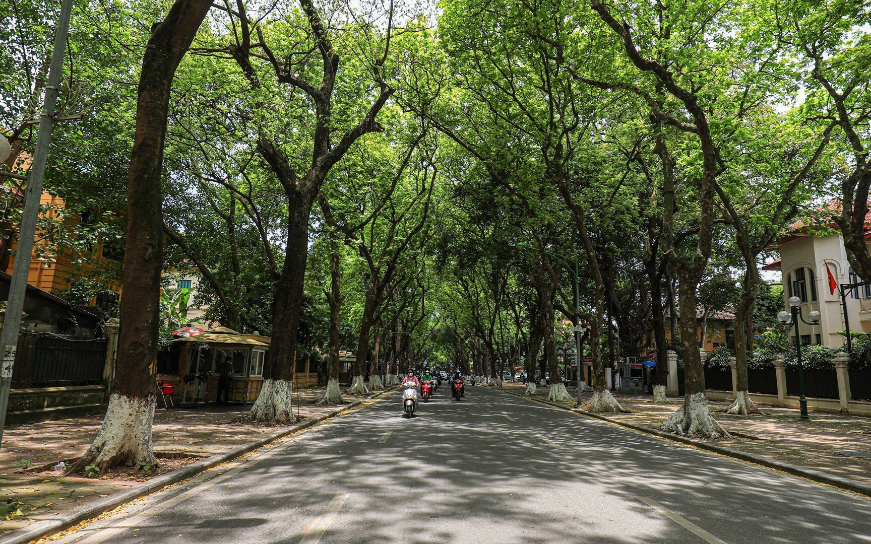 Đường Phan Đ&igrave;nh Ph&ugrave;ng rợp b&oacute;ng c&acirc;y xanh nhưng cũng rất &iacute;t người tham gia giao th&ocirc;ng v&agrave;o buổi trưa.