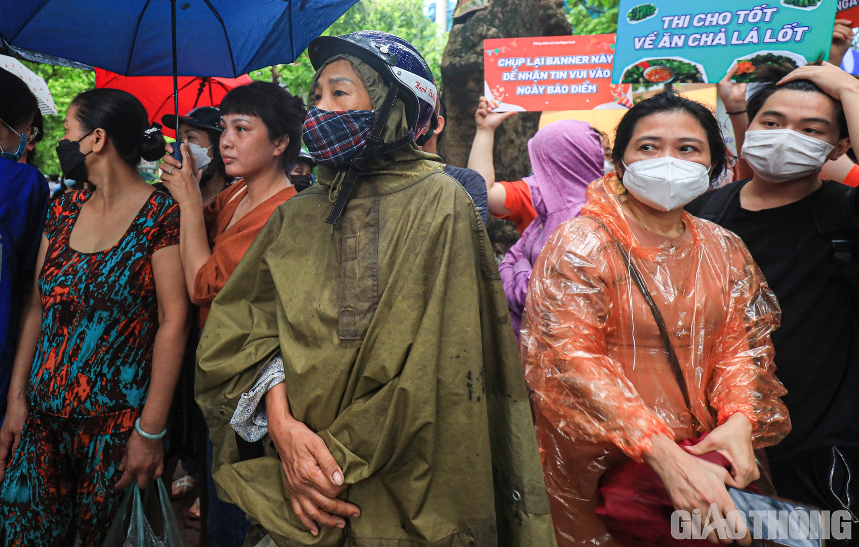 Mặc d&ugrave; vậy, tất cả đều kỳ vọng v&agrave;o c&aacute;c con c&oacute; thể "vượt ải" th&agrave;nh c&ocirc;ng sau 12 năm đ&egrave;n s&aacute;ch.
