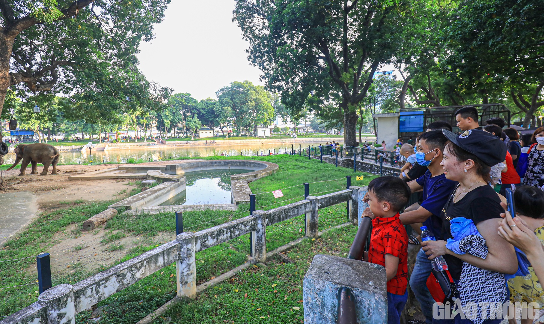 Nhiều gia đ&igrave;nh đứng từ xa quan s&aacute;t chuồng voi. Chị Nguyễn Thị Thảo (huyện Đan Phượng) chia sẻ: "Thay v&igrave; đi chơi xa, t&ocirc;i lựa chọn c&ocirc;ng vi&ecirc;n Thủ Lệ l&agrave;m điểm đến để cho c&aacute;c con được kh&aacute;m ph&aacute;, t&igrave;m hiểu về c&aacute;c lo&agrave;i động vật hoang d&atilde;. Mặc d&ugrave; vậy, ở đ&acirc;y vẫn chưa c&oacute; nhiều lo&agrave;i mới so với những năm trước".