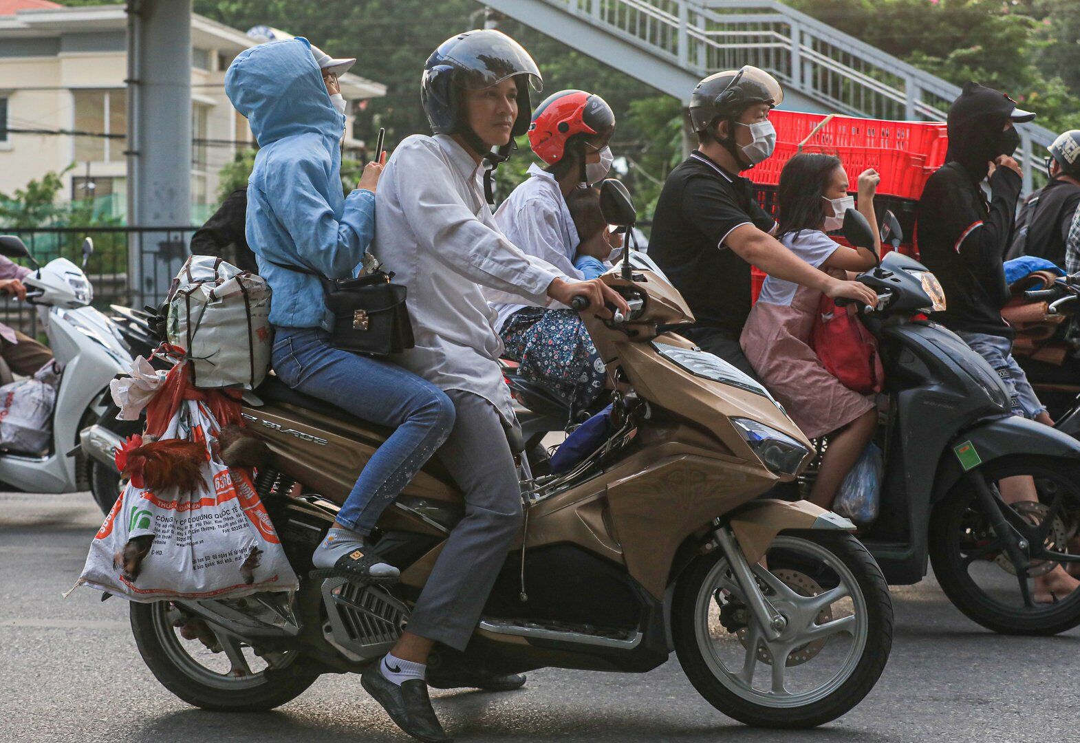 G&agrave; vịt, ngan ngỗng được bắt bỏ trong bao để thuận tiện vận chuyển l&ecirc;n H&agrave; Nội.