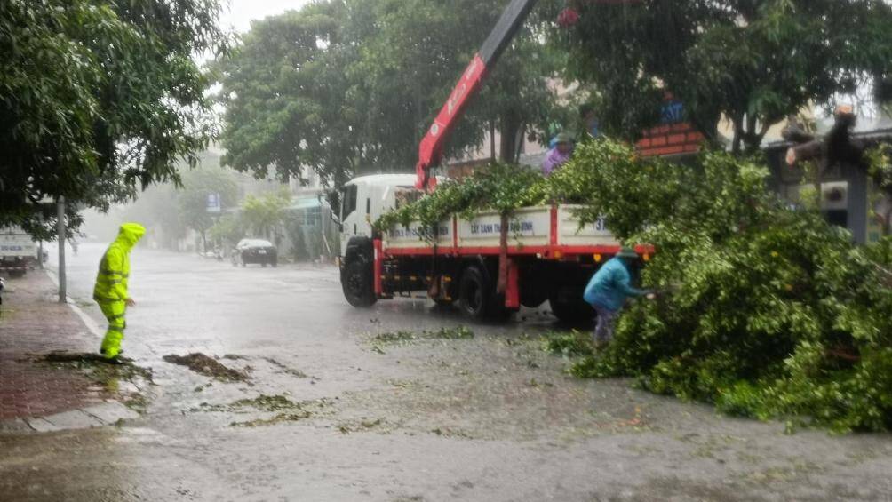 Ở Th&agrave;nh phố Vinh, mưa to v&agrave; gi&oacute; lớn li&ecirc;n tục từ đ&ecirc;m h&ocirc;m qua đến nay khiến một số c&acirc;y xanh bị g&atilde;y đổ. Lực lượng CSGT phối hợp với c&ocirc;ng nh&acirc;n c&ocirc;ng ty c&acirc;y xanh tiến h&agrave;nh cắt giải ph&oacute;ng giao th&ocirc;ng