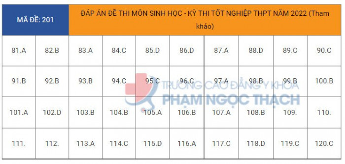 Đ&aacute;p &aacute;n đề thi m&ocirc;n Sinh học tốt nghiệp THPT 2022 tất cả m&atilde; đề- Ảnh 2.