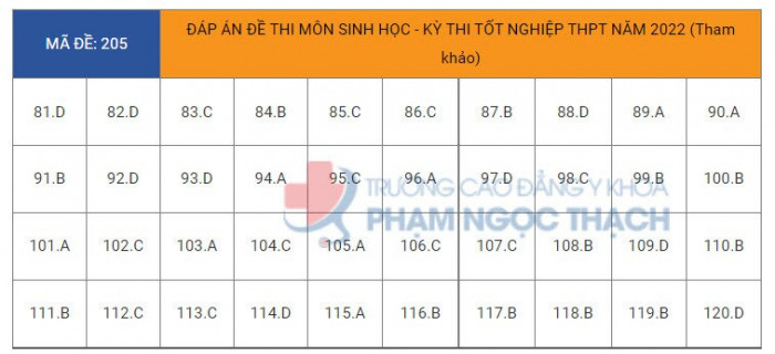 Đ&aacute;p &aacute;n đề thi m&ocirc;n Sinh học tốt nghiệp THPT 2022 tất cả m&atilde; đề- Ảnh 6.