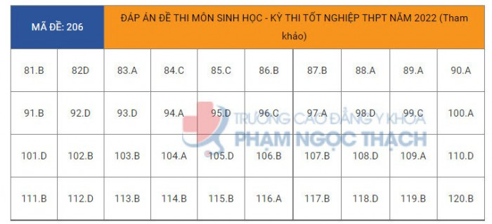 Đ&aacute;p &aacute;n đề thi m&ocirc;n Sinh học tốt nghiệp THPT 2022 tất cả m&atilde; đề- Ảnh 7.