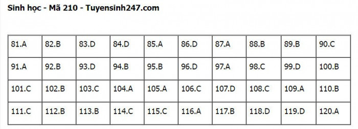 Đ&aacute;p &aacute;n đề thi m&ocirc;n Sinh học tốt nghiệp THPT 2022 tất cả m&atilde; đề- Ảnh 11.