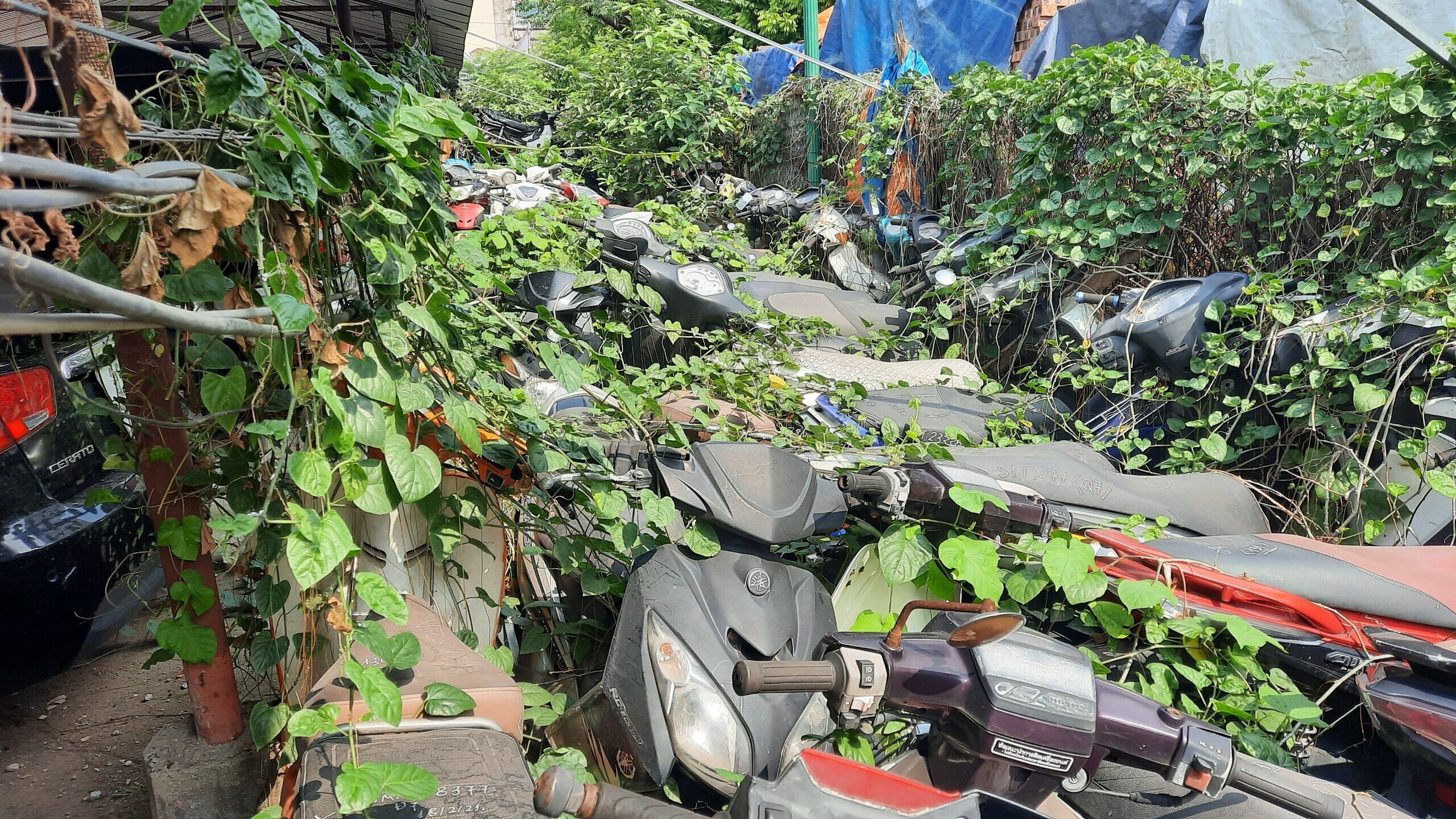 C&aacute;c xe được tập kết ở đ&acirc;y c&oacute; đủ chủng loại, nh&atilde;n hiệ. Kh&ocirc;ng &iacute;t xe thuộc d&ograve;ng xe đắt tiền, cao cấp như Honda SH, Vespa LX...