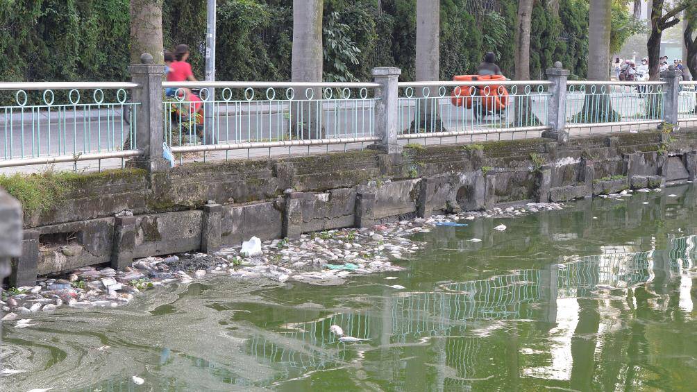 Ng&agrave;y 5/10, tại Hồ T&acirc;y đoạn đi qua khu vực phố Nguyễn Đ&igrave;nh Thi (quận T&acirc;y Hồ, TP H&agrave; Nội) xuất hiện t&igrave;nh trạng c&aacute; chết nổi trắng, bốc m&ugrave;i nồng nặc.