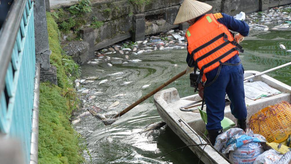 Ghi nhận của PV cho thấy, sau khi b&aacute;o ch&iacute; v&agrave; người d&acirc;n phản &aacute;nh, tại Hồ T&acirc;y đ&atilde; c&oacute; nhiều c&ocirc;ng nh&acirc;n đến để tiến h&agrave;nh vớt c&aacute; chết.