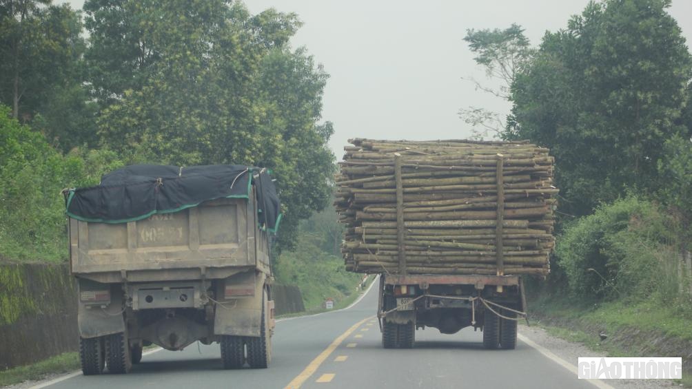 Do tuyến đường mòn Hồ Chí Minh qua địa bàn huyện Hương Khê có nhiều điểm thu mua keo tràm; lộ trình các xe chở keo ngắn (2 đến 3km) nên việc xử lý vi phạm cũng không dễ.