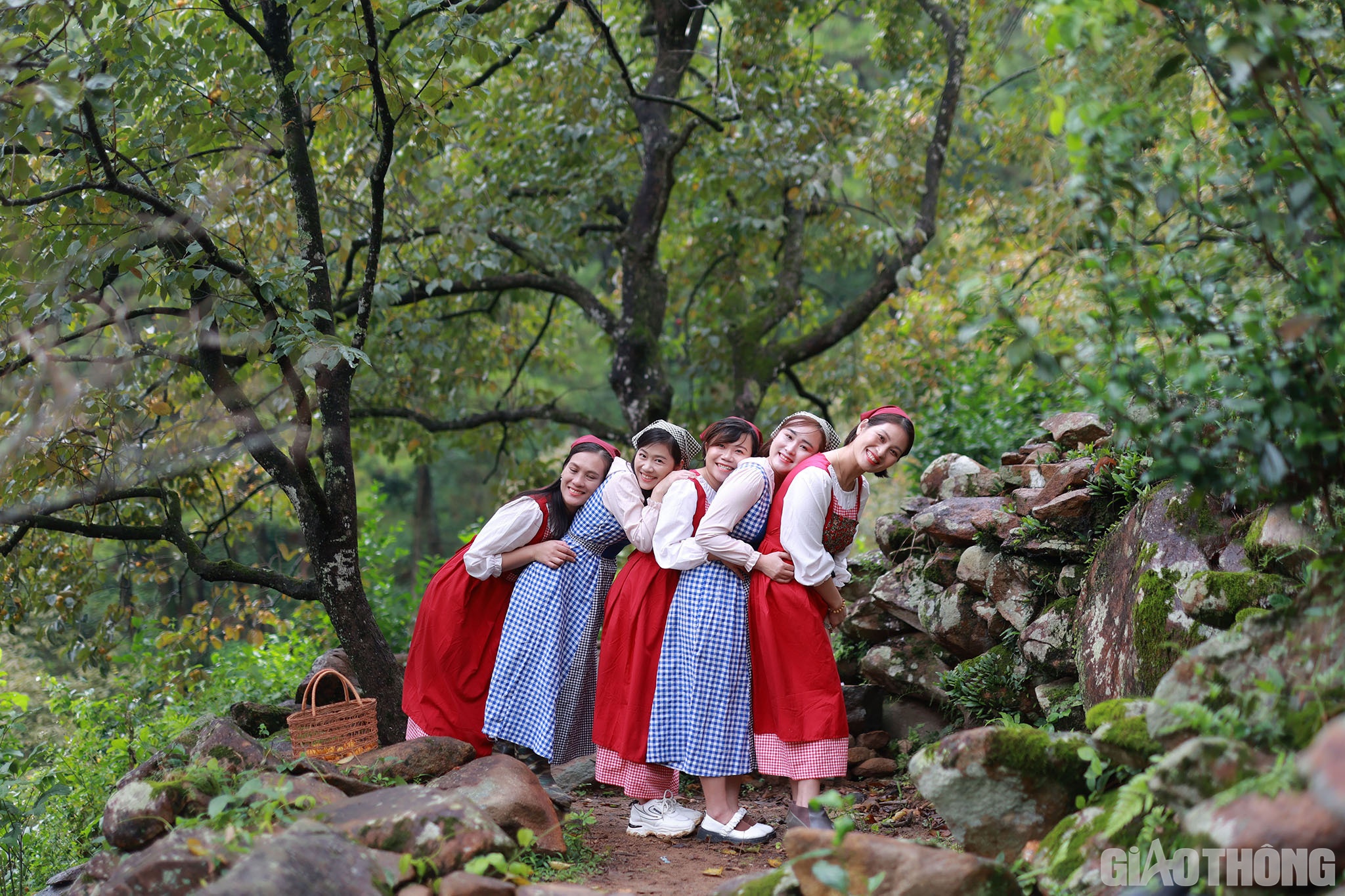 Anh Trần H&agrave;, ở TP Vinh cho biết th&ecirc;m: Sau rất nhiều lần sắp xếp, gia đ&igrave;nh t&ocirc;i cũng đ&atilde; đi c&ugrave;ng với nhau l&ecirc;n chơi vườn hồng. Những dịp d&atilde; ngoại như thế n&agrave;y l&agrave; cơ hội để c&aacute;c th&agrave;nh vi&ecirc;n trong gia đ&igrave;nh, nh&oacute;m bạn hiểu nhau v&agrave; gắn kết với nhau hơn. Về l&acirc;u d&agrave;i, thiết nghĩ ch&iacute;nh quyền địa phương n&ecirc;n c&oacute; c&aacute;c quy hoạch để ph&aacute;t triển d&agrave;i hơi nhưng kh&ocirc;ng t&aacute;c động v&agrave;o c&acirc;y cối cũng như thi&ecirc;n nhi&ecirc;n nơi n&agrave;y.