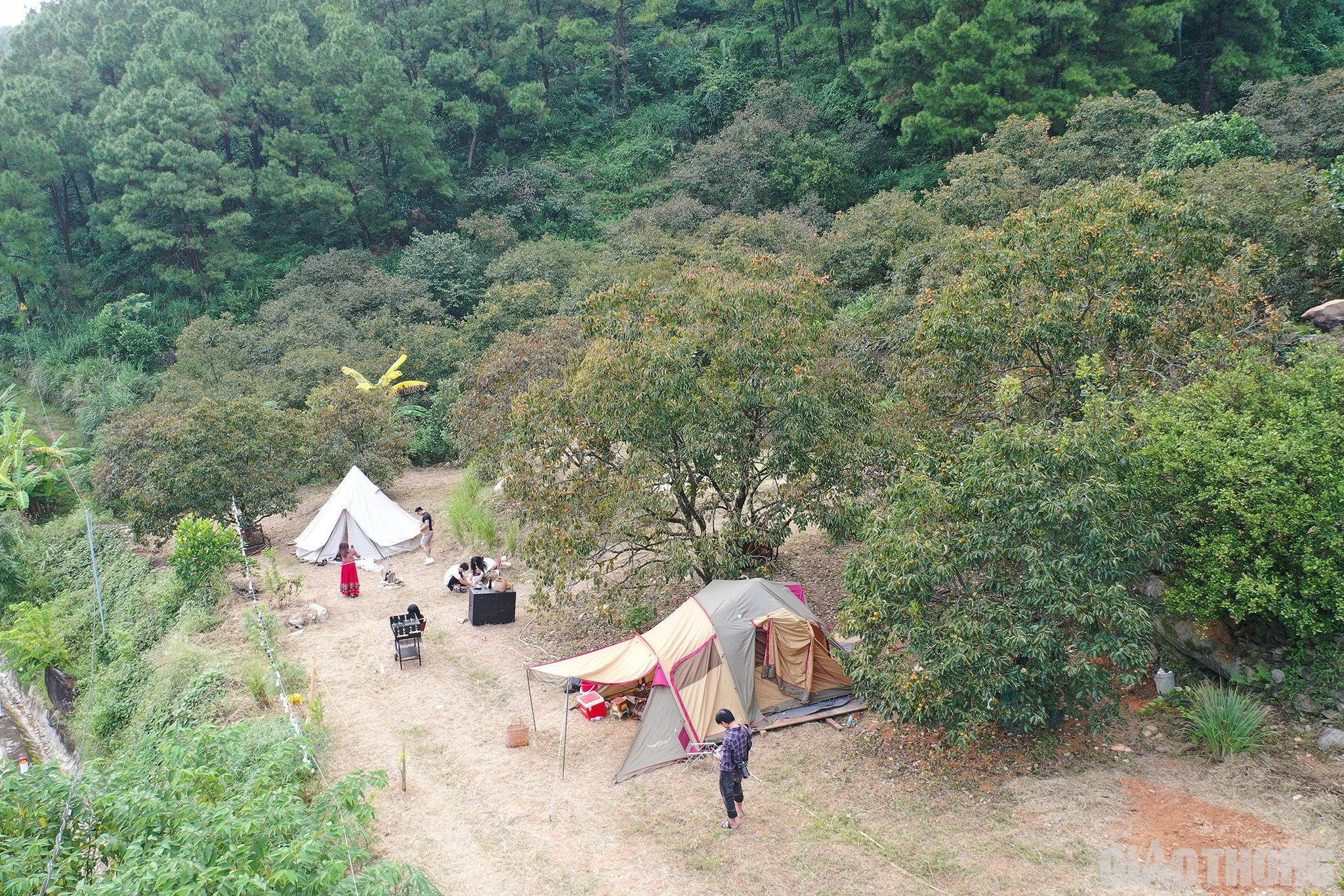 Từ những ng&agrave;y cuối th&aacute;ng 10, du kh&aacute;ch ở Nghệ An v&agrave; c&aacute;c tỉnh l&acirc;n cận lại đổ x&ocirc; về thăm quan vườn hồng cổ nằm tr&ecirc;n n&uacute;i Đại Huệ ở x&oacute;m 7, x&atilde; Nam Anh, huyện Nam Đ&agrave;n. Với diện t&iacute;ch 1,5 ha, nơi đ&acirc;y c&oacute; những gốc hồng h&agrave;ng chục năm tuổi, cao cả chục m&eacute;t, t&aacute;n l&aacute; rộng.