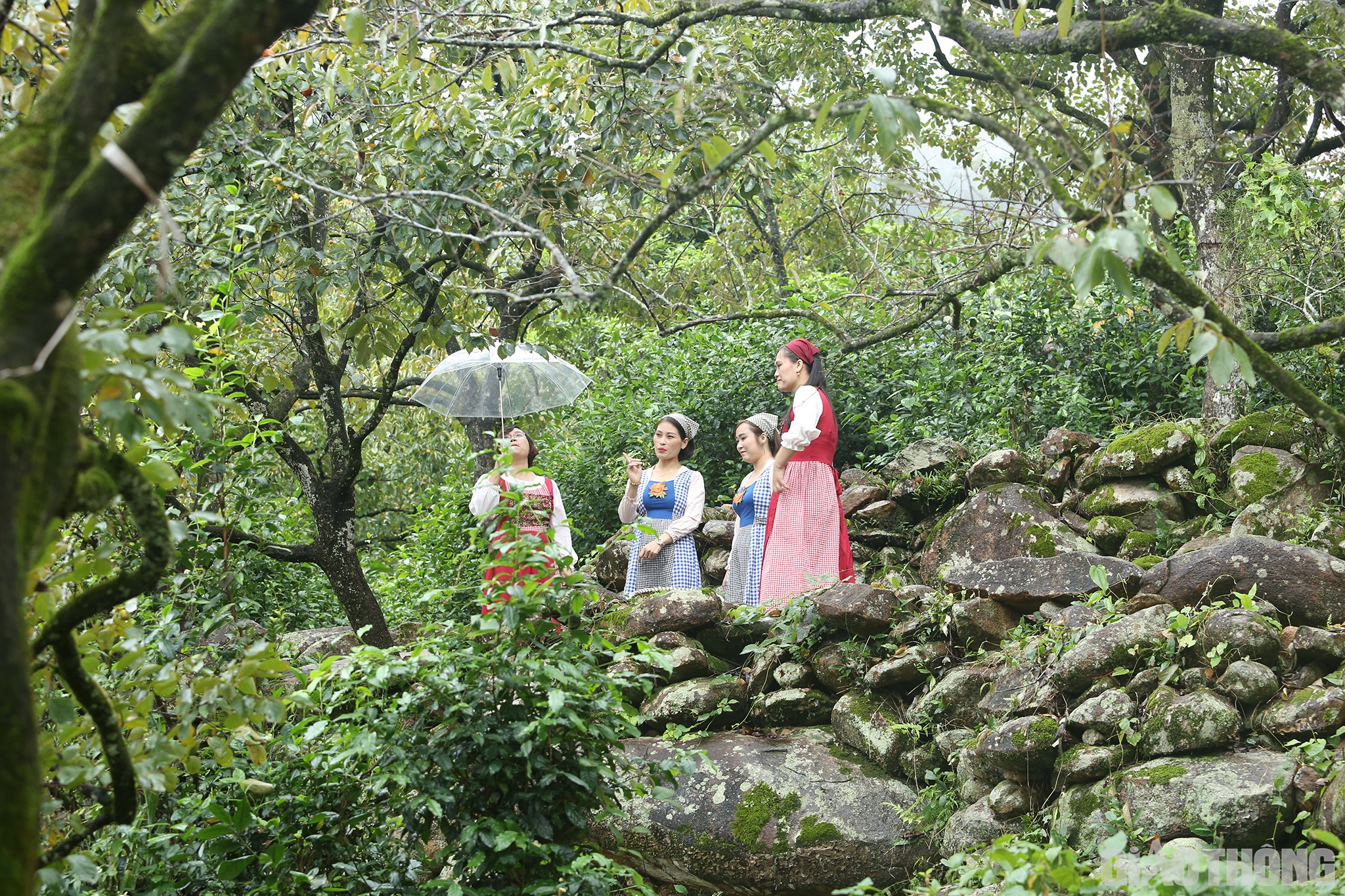 Vườn hồng nằm ở lưng chừng n&uacute;i, cao h&agrave;ng trăm m&eacute;t so với mực nước biển. Dưới c&aacute;c gốc hồng c&oacute; nhiều tảng đ&aacute; tự nhi&ecirc;n xếp lớp, phủ r&ecirc;u phong tạo thuận lợi cho mọi người lưu lại kỷ niệm.