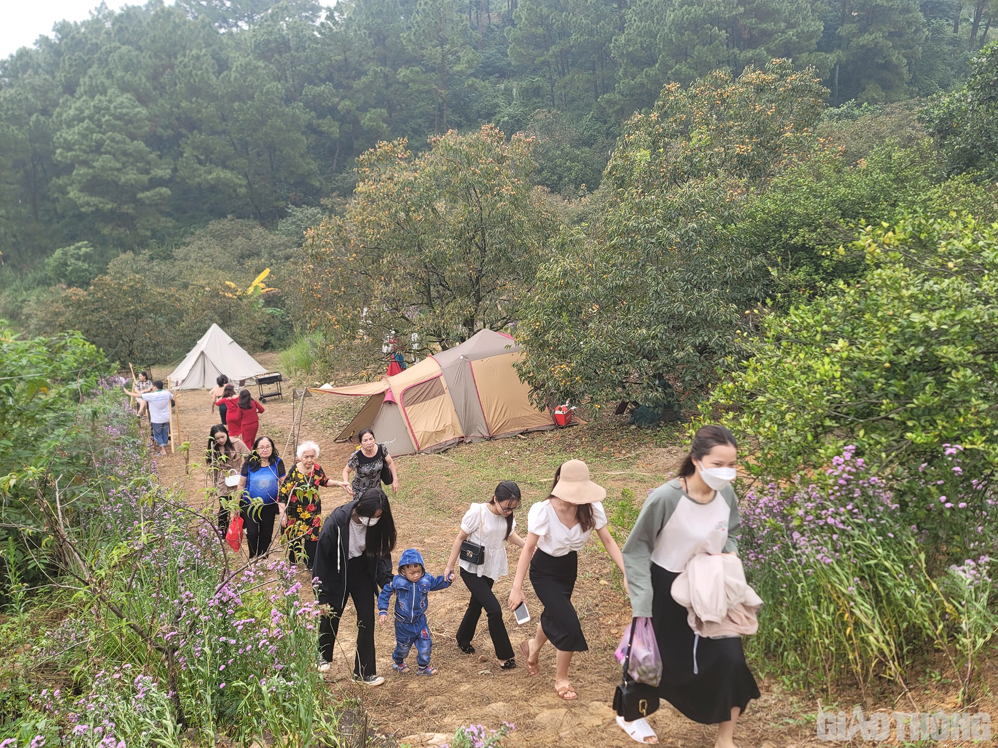 Du kh&aacute;ch đến đ&acirc;y kh&ocirc;ng chỉ c&oacute; c&aacute;c bạn trẻ m&agrave; c&ograve;n c&oacute; cả nhiều gia đ&igrave;nh với đầy đủ c&aacute;c thế hệ; kh&ocirc;ng chỉ ở Nghệ An, c&aacute;c tỉnh l&acirc;n cận, m&agrave; c&ograve;n c&oacute; những du kh&aacute;ch ở xa như H&agrave; Nội v&agrave; cả c&aacute;c du học sinh L&agrave;o đang học tập tại Việt Nam cũng đổ về đ&acirc;y.