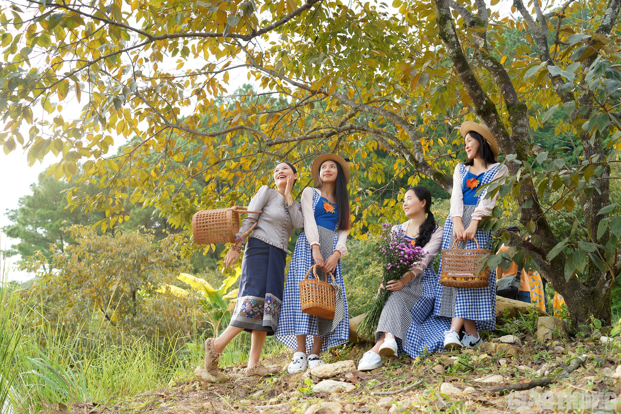 Anh S&aacute;ch Nguyễn, quản l&yacute; vườn hồng cho biết: Vườn hồng cổ c&oacute; tuổi đời l&ecirc;n tới 130 năm tuổi, được người d&acirc;n trồng tr&ecirc;n c&aacute;c bậc đ&aacute; tự nhi&ecirc;n tạo n&ecirc;n một cao nguy&ecirc;n đ&aacute; giữa l&ograve;ng xứ Nghệ.