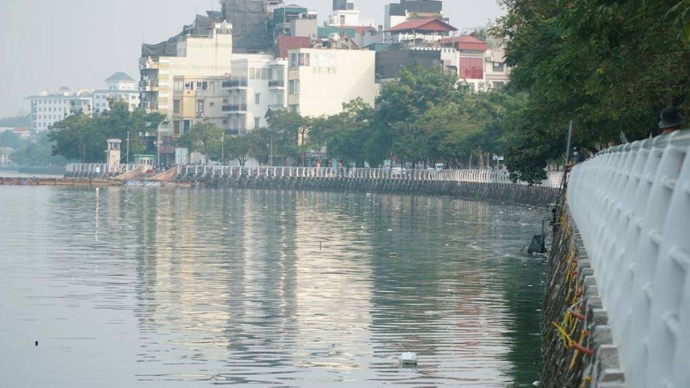 C&aacute; chết trắng, nằm rải r&aacute;c tr&ecirc;n mặt hồ T&acirc;y.