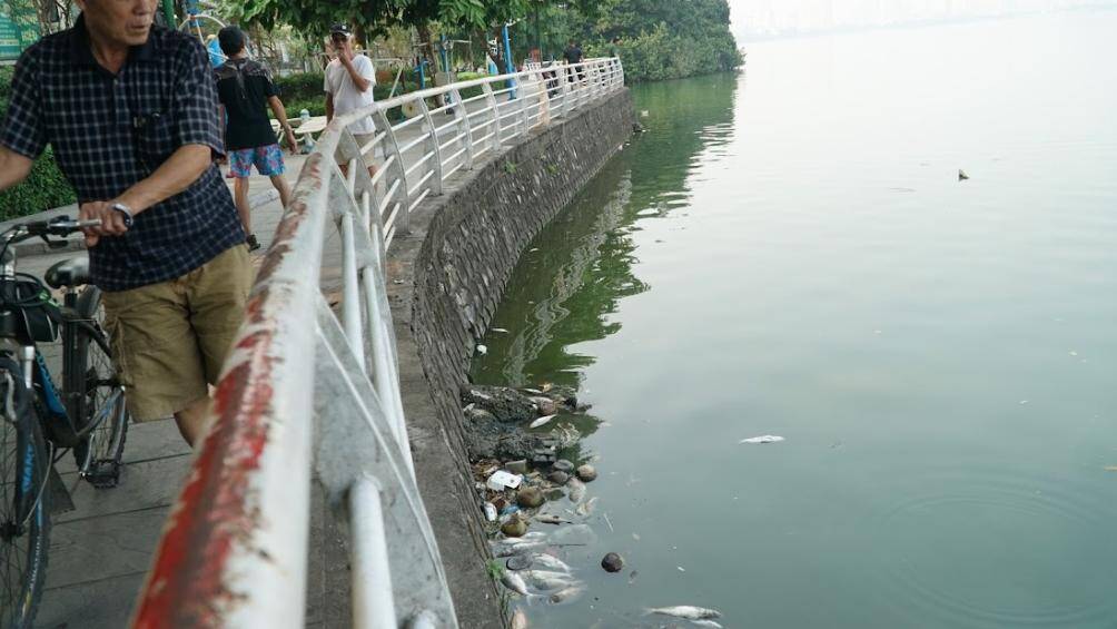 "Mỗi lần người d&acirc;n ch&uacute;ng t&ocirc;i đi tập thể dục hay đi qua khu vực n&agrave;y l&agrave; kh&ocirc;ng thể chịu được do m&ugrave;i h&ocirc;i thối bốc l&ecirc;n nồng nặc, ruồi nhặng b&acirc;u k&iacute;n. V&agrave;i tuần trước c&oacute; đơn vị tho&aacute;t nước đến vớt c&aacute; đi xử l&yacute; nhưng ng&agrave;y n&agrave;o c&aacute; cũng chết th&igrave; phải t&igrave;m ra nguy&ecirc;n nh&acirc;n", một người d&acirc;n cho hay.