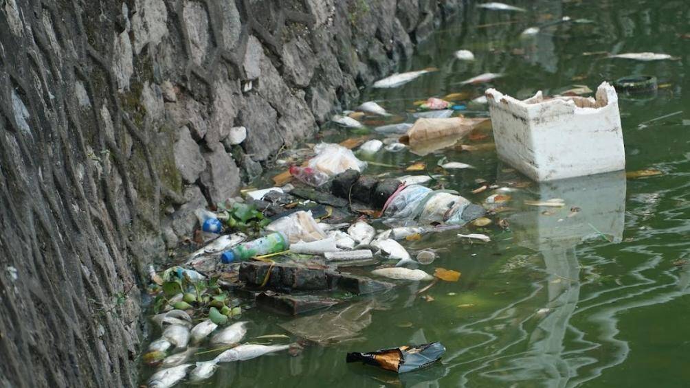 T&igrave;nh trạng c&aacute; chết ở hồ T&acirc;y đ&atilde; diễn ra khoảng một th&aacute;ng nay v&agrave; c&oacute; dấu hiệu ng&agrave;y một nhiều hơn, c&ugrave;ng với đ&oacute; mặt nước hồ nổi v&aacute;ng xanh khiến người d&acirc;n lo ngại nguồn nước hồ đang bị &ocirc; nhiễm.