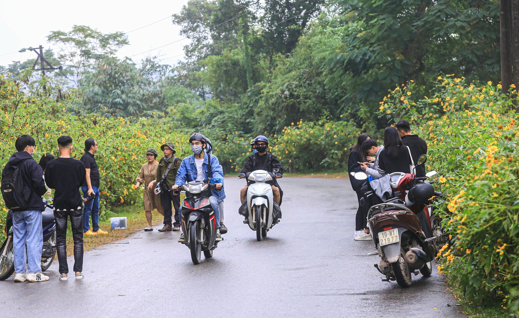 Nh&oacute;m c&aacute;c bạn trẻ dừng xe m&aacute;y, đi bộ, tạo d&aacute;ng chụp ảnh tr&ecirc;n đường l&ecirc;n Vườn quốc gia Ba V&igrave; khiến c&aacute;c xe chạy qua phải v&ograve;ng tr&aacute;nh.
