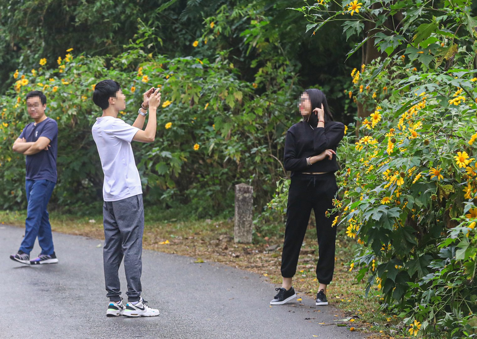 S&aacute;ng 26/11, cho d&ugrave; thời tiết mưa ph&ugrave;n nhưng tại Vườn quốc gia Ba V&igrave; vẫn rất đ&ocirc;ng người đến ngắm hoa, chụp ảnh. Đ&aacute;ng n&oacute;i, việc chụp ảnh diễn ra ngay tr&ecirc;n l&ograve;ng đường trong khi c&aacute;c phương tiện vẫn nườm nượp tham gia lưu th&ocirc;ng.