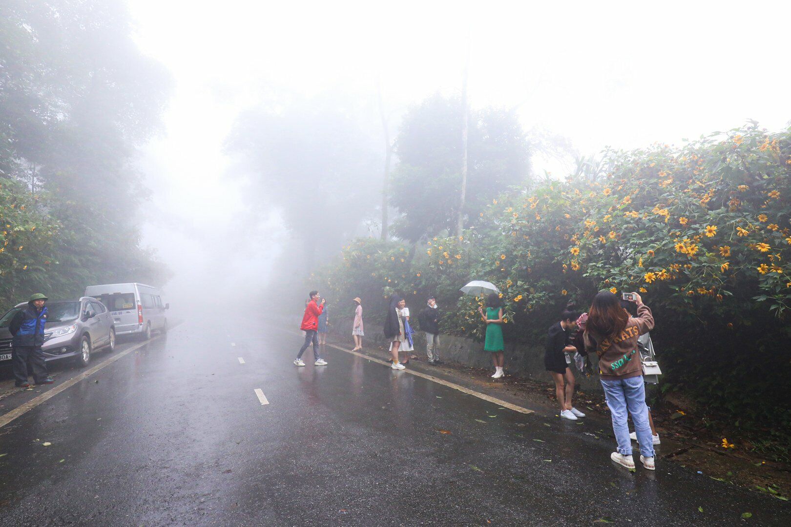 "Rất nhiều người thản nhi&ecirc;n đứng ra gần giữa đường để chụp ảnh, c&ugrave;ng với đ&oacute; l&agrave; xe m&aacute;y, &ocirc; t&ocirc; đỗ lộn xộn trong khi h&ocirc;m nay sương m&ugrave; rất kh&oacute; nh&igrave;n đường, n&ecirc;n t&ocirc;i d&ugrave; l&aacute;i xe &ocirc; t&ocirc; rất chậm cũng mấy lần giật m&igrave;nh v&igrave; những người đột ngột tiến, l&ugrave;i ra giữa đường chụp ảnh", anh Nguyễn Văn Long - một t&agrave;i xế &ocirc; t&ocirc; đi l&ecirc;n Vườn quốc gia Ba V&igrave; cho hay.