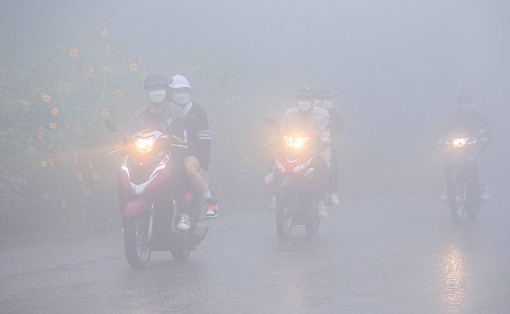 Ghi nhận thực tế của PV B&aacute;o Giao th&ocirc;ng, thời tiết tại Vườn quốc gia Ba V&igrave; s&aacute;ng 26/11 sương m&ugrave; d&agrave;y đặc, v&igrave; thế c&oacute; đoạn đường tầm nh&igrave;n xa dưới 10m. Nếu c&aacute;c phương tiện đi ngược chiều kh&ocirc;ng bật đ&egrave;n th&igrave; rất kh&oacute; để ph&aacute;t hiện.