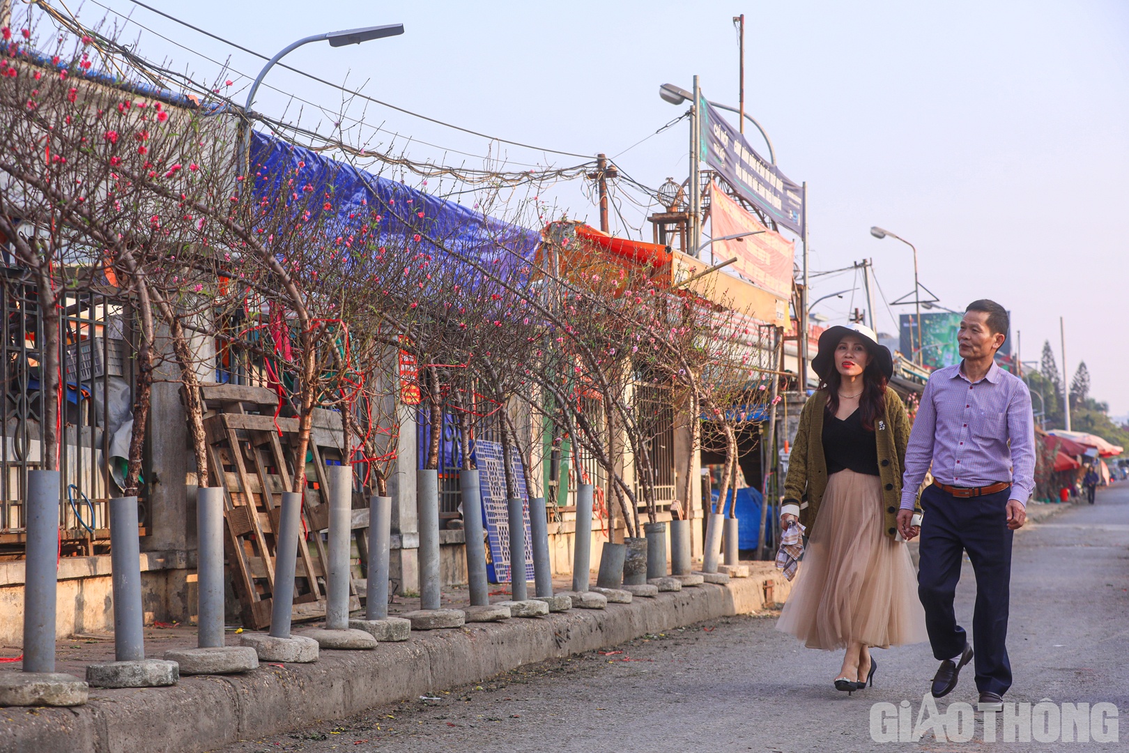 Theo ghi nhận của PV B&aacute;o Giao th&ocirc;ng, gi&aacute; hoa đ&agrave;o ở thời điểm n&agrave;y dao động từ 80.000 - 100.000 đồng/c&agrave;nh nhỏ v&agrave; từ 500.000 đồng đến cả triệu đồng/c&agrave;nh lớn.