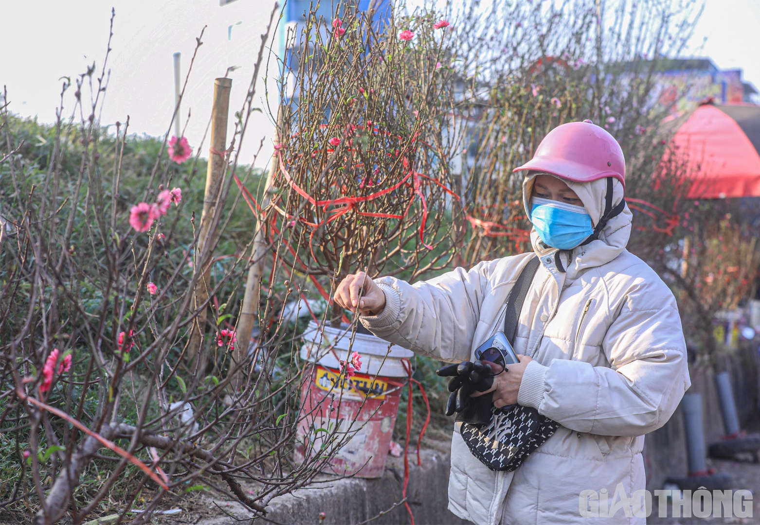 "Thấy hoa đ&agrave;o xuống phố l&agrave; thấy Tết đang đến rất gần. Tuy nhi&ecirc;n, để chọn được một c&agrave;nh ưng &yacute; cũng kh&ocirc;ng phải dễ d&agrave;ng", chị Sang chia sẻ.