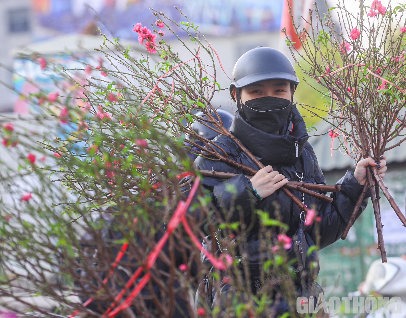 Vừa chọn được 7 c&agrave;nh đ&agrave;o nhỏ để l&agrave;m đạo cụ quay video, chị Nguyễn Nguyệt &Aacute;nh (quận H&agrave; Đ&ocirc;ng) cho hay: "Mọi năm t&ocirc;i cũng thường mua đ&agrave;o sớm. Mặc d&ugrave; hoa kh&ocirc;ng được to, d&agrave;y v&agrave; rực rỡ như ch&iacute;nh vụ nhưng n&oacute; vẫn mang n&eacute;t thi vị ri&ecirc;ng".