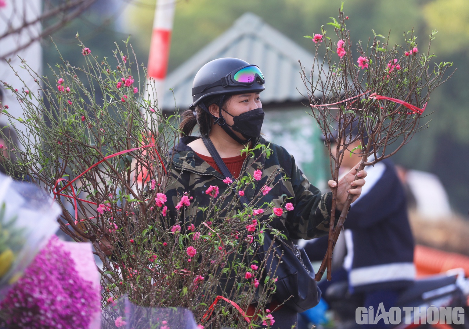 Hoa b&agrave;y b&aacute;n ở đ&acirc;y chủ yếu l&agrave; đ&agrave;o Nhật T&acirc;n được c&aacute;c chủ vườn chăm s&oacute;c với chế độ ri&ecirc;ng v&agrave; chủ động tuốt l&aacute; sớm để c&acirc;y cho hoa v&agrave;o dịp Gi&aacute;ng sinh v&agrave; Tết Dương lịch.