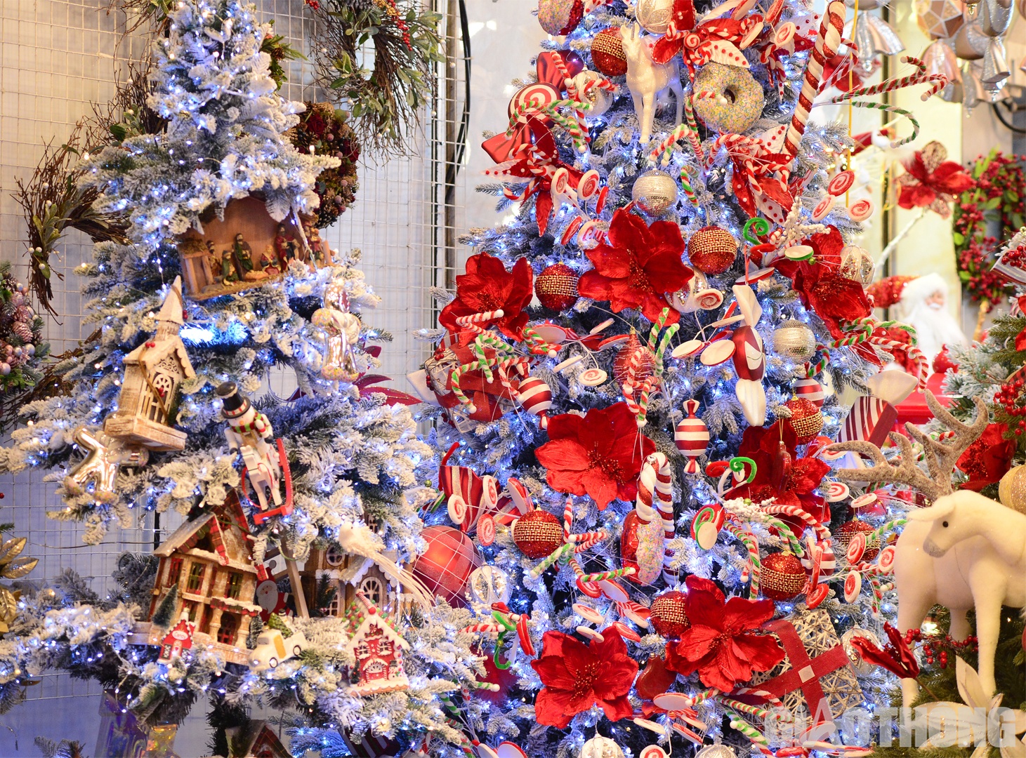Những mặt h&agrave;ng phổ biến nhất phải kể đến c&acirc;y th&ocirc;ng, v&ograve;ng nguyệt quế, &ocirc;ng gi&agrave; Noel...