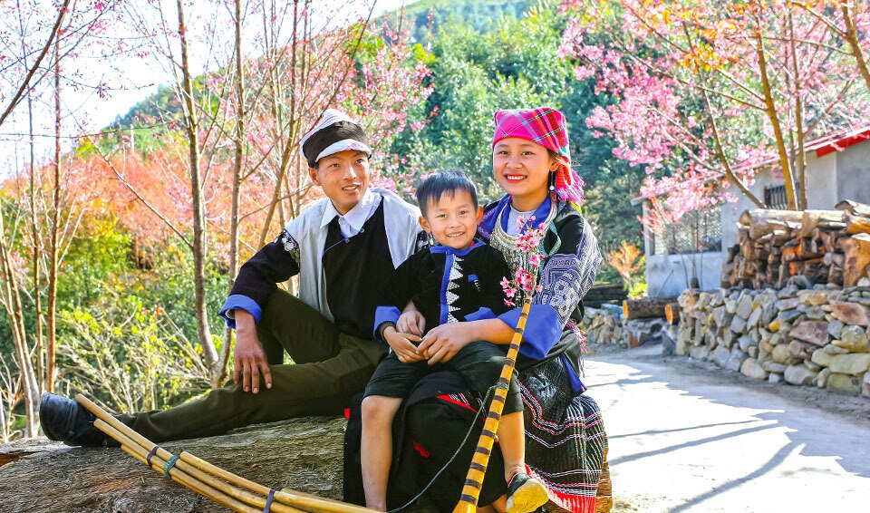 Hạnh phúc của đôi vợ chồng bên những cây hoa tớ dày.