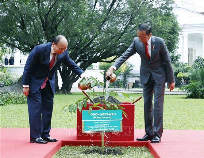 Chủ tịch nước Nguyễn Xu&acirc;n Ph&uacute;c v&agrave; Tổng thống nước Cộng h&ograve;a Indonesia Joko Widodo trồng c&acirc;y lưu niệm. Tiếp đ&oacute;, hai nh&agrave; l&atilde;nh đạo dẫn đầu đo&agrave;n đại biểu cấp cao hai nước hội đ&agrave;m, đ&aacute;nh gi&aacute; những kết quả hợp t&aacute;c đạt được những năm qua, thảo luận định hướng l&agrave;m s&acirc;u sắc hơn mối quan hệ đối t&aacute;c chiến lược Việt Nam - Indonesia. Ảnh: Thống Nhất/TTXVN