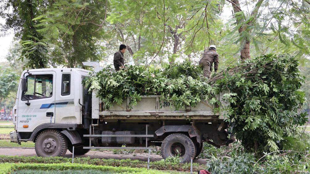 Những c&acirc;y xanh xum xu&ecirc; l&aacute; sẽ được cắt tỉa để gi&uacute;p cho kh&ocirc;ng gian trang trọng v&agrave; an to&agrave;n cho người đi bộ.