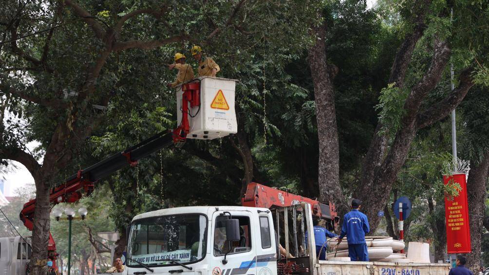 Hệ thống đ&egrave;n trang tr&iacute; cũng được lắp đặt tr&ecirc;n c&aacute;c t&aacute;n c&acirc;y xanh để tạo điểm nhấn cho kh&ocirc;ng gian phố đi bộ