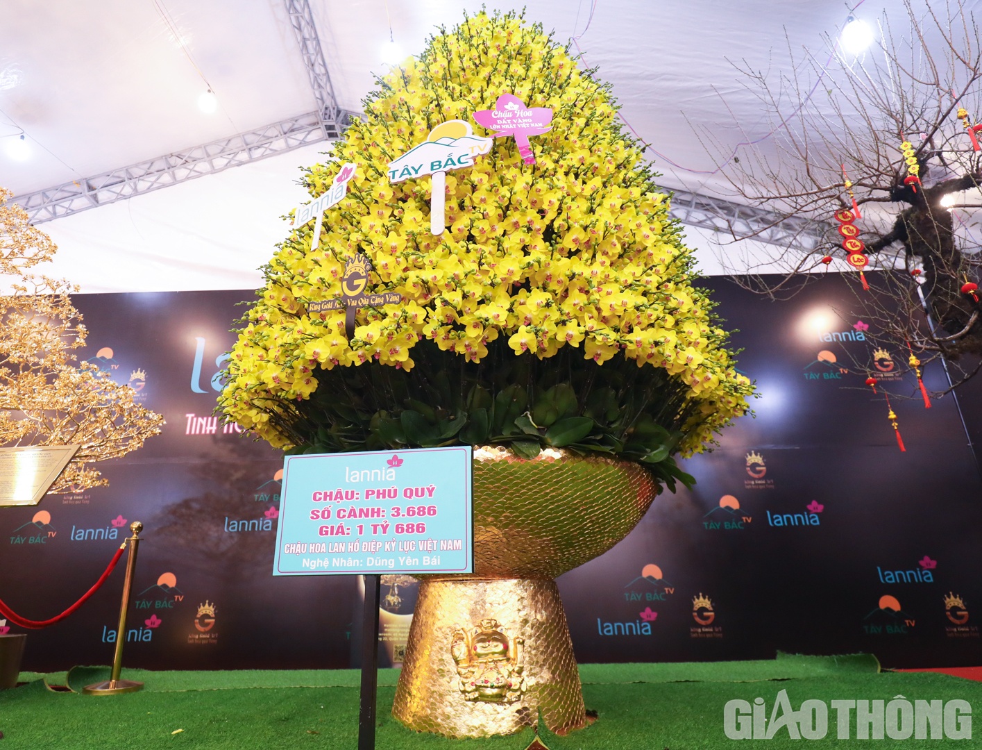 Đặc biệt, tại đ&acirc;y xuất hiện một chậu hoa lan hồ điệp m&agrave;u v&agrave;ng mang t&ecirc;n "Ph&uacute; Qu&yacute;" được rao b&aacute;n với mức gi&aacute; l&ecirc;n tới gần 1,7 tỷ đồng.
