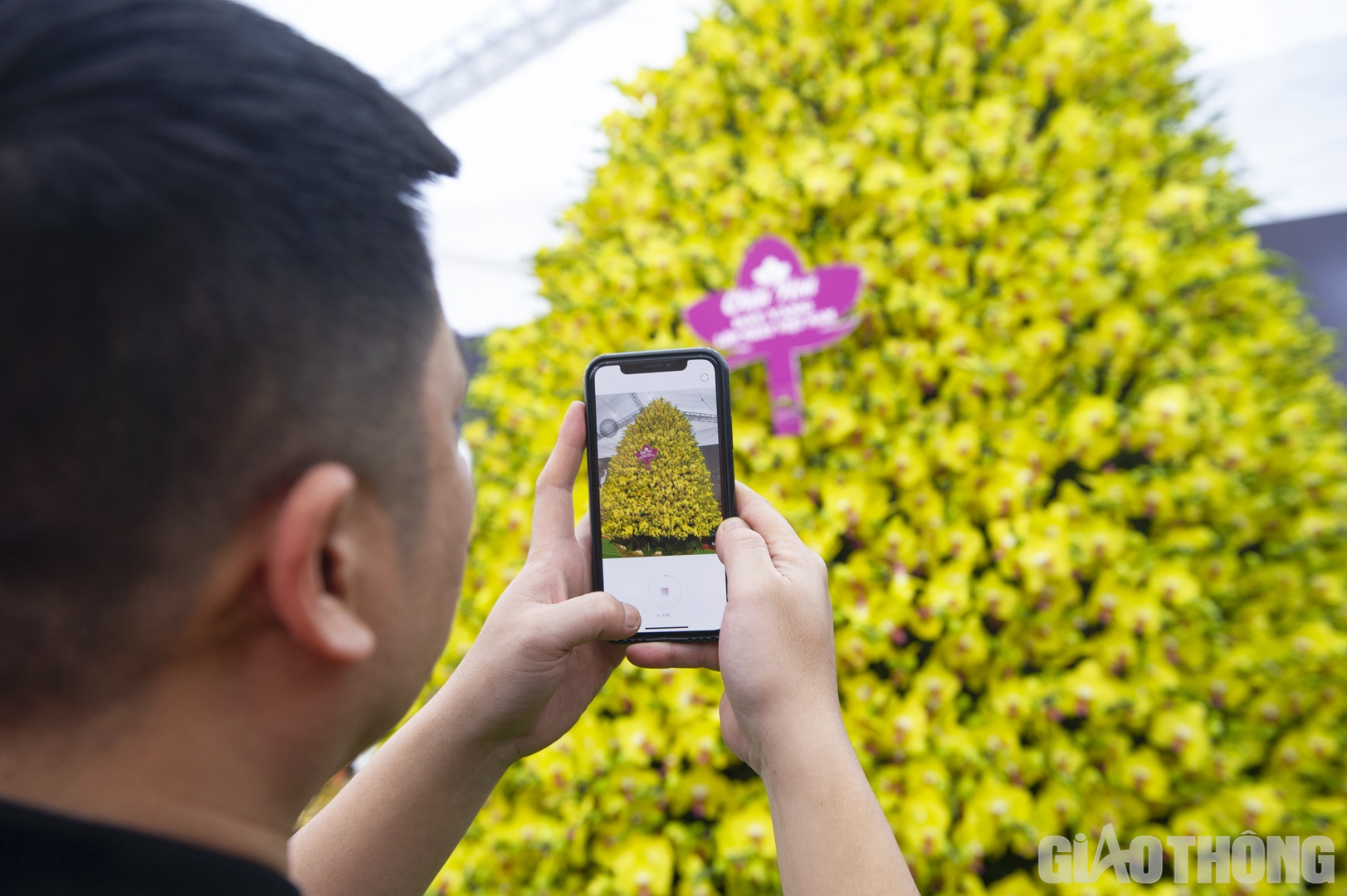 Được biết, cũng tại thời điểm n&agrave;y năm ngo&aacute;i, anh Nghiệp cũng từng cho trưng b&agrave;y một chậu lan hồ điệp "khủng" mang t&ecirc;n "Thần T&agrave;i" được gh&eacute;p từ hơn 2.600 c&agrave;nh với gi&aacute; b&aacute;n 868 triệu đồng.