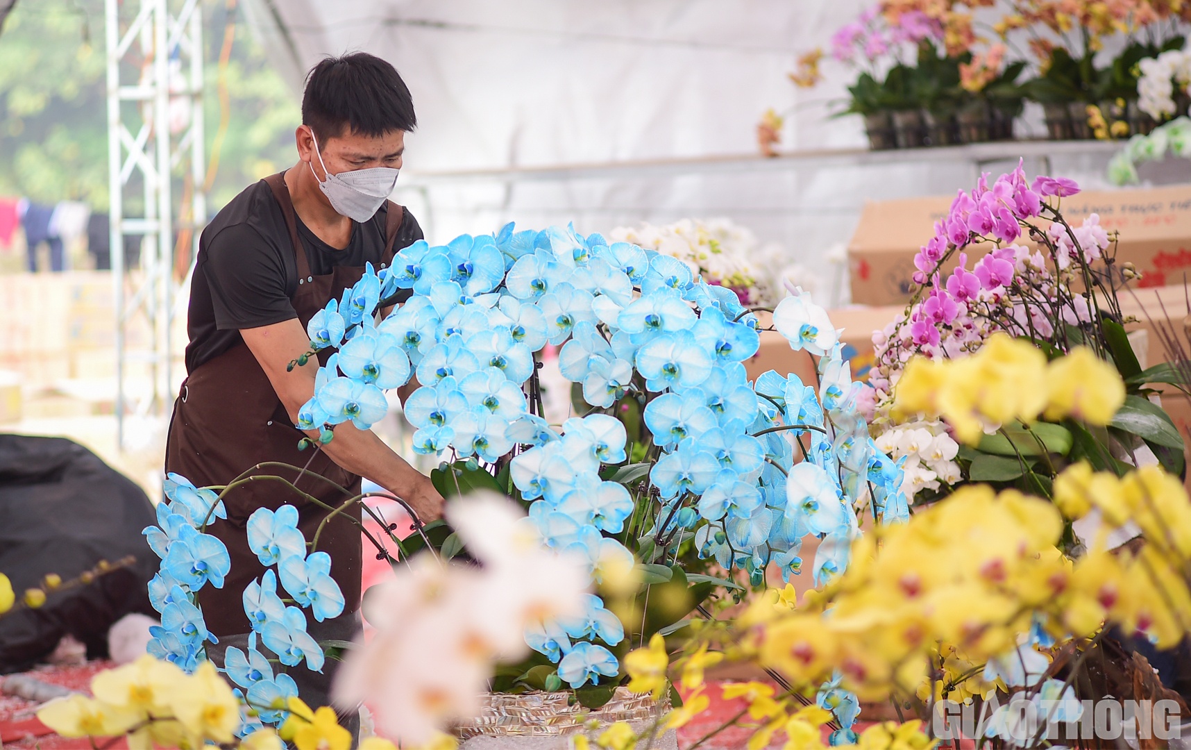 Theo y&ecirc;u cầu của kh&aacute;ch h&agrave;ng, hoa lan c&oacute; thể được nh&acirc;n vi&ecirc;n cắm v&agrave; tạo h&igrave;nh ngay tại gian h&agrave;ng.